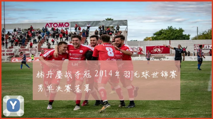林丹鏖战夺冠 2014年羽毛球世锦赛男单决赛落幕